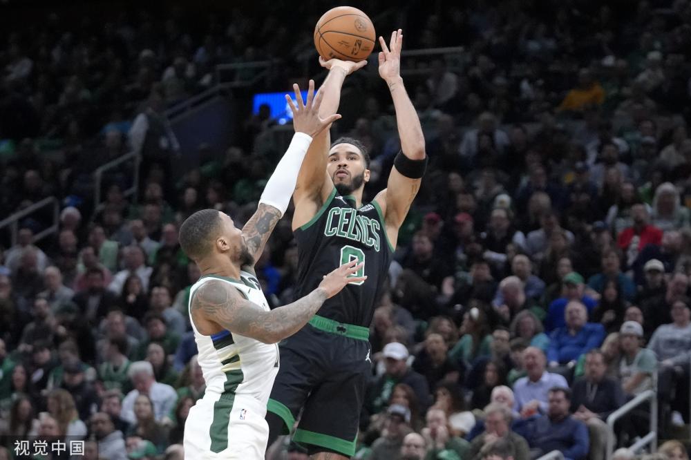 专家的两极 专家的两极